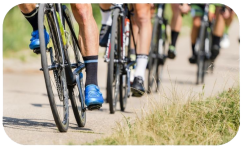 Vélos.png Vélos.png