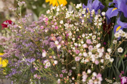 close-up-tiny-spring-flower-bouquet.jpg